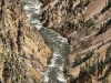 yellowstone-11-3