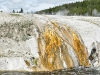 yellowstone-20