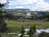 yellowstone-33