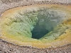 yellowstone-35